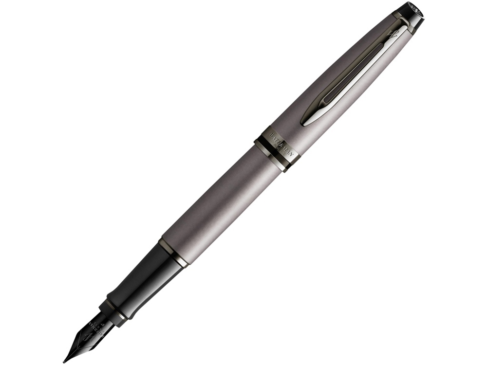 Перьевая ручка Waterman Expert Silver F BLK в подарочной упаковке